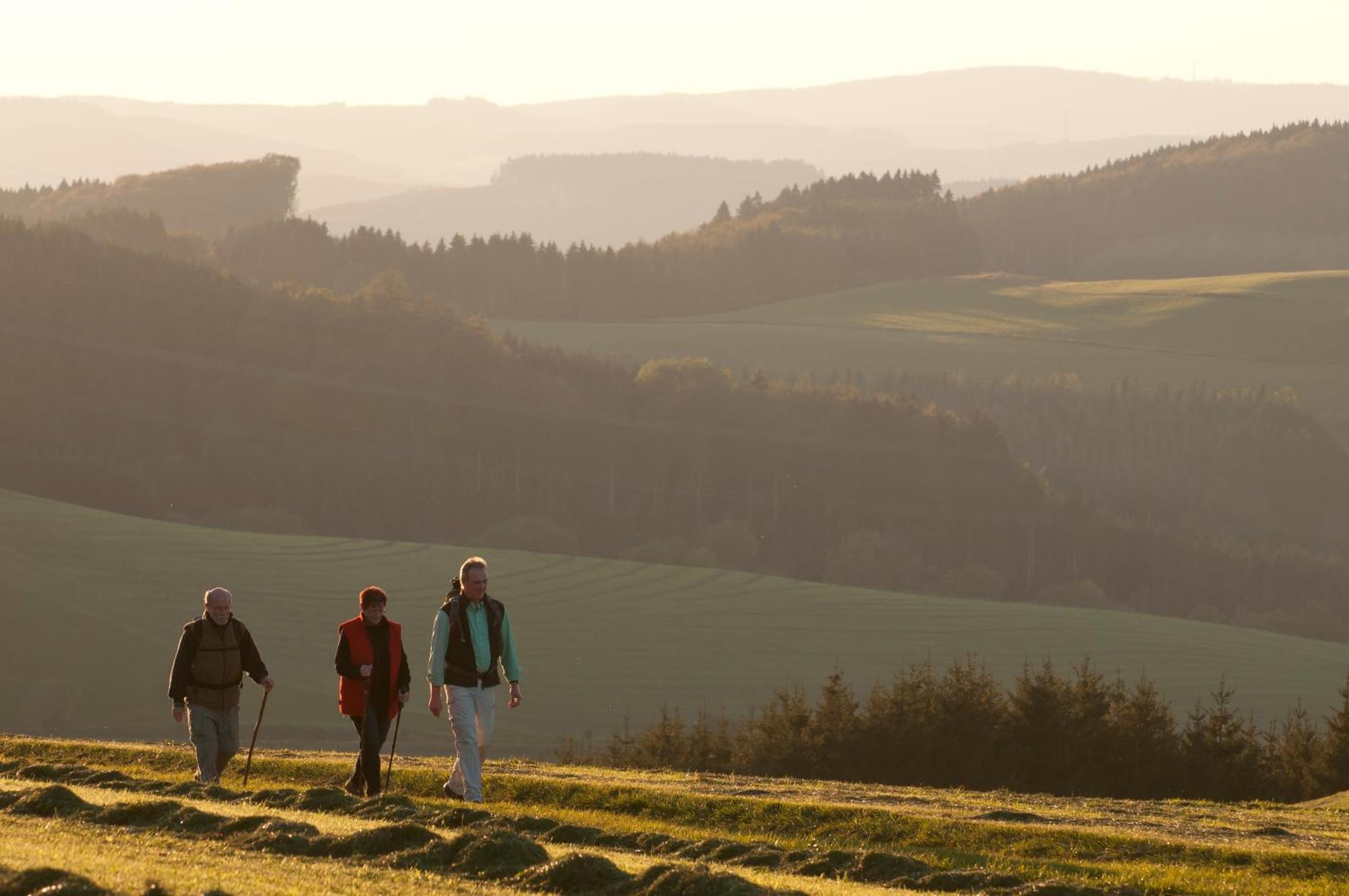 Wuellner'S Landgasthof Schmallenberg Εξωτερικό φωτογραφία